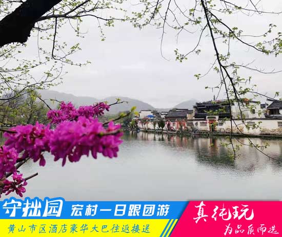 守拙园、宏村一日游路线-徽文化旅游跟团全新体验