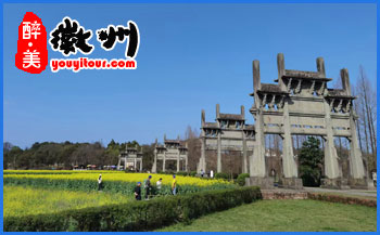 2023年黄山周边旅游各地花期及活动攻略