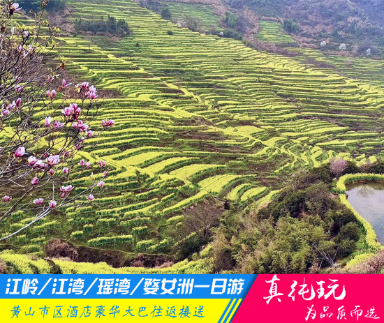江岭、江湾、瑶湾、婺女洲一日游「品质旅行团、当地参团」