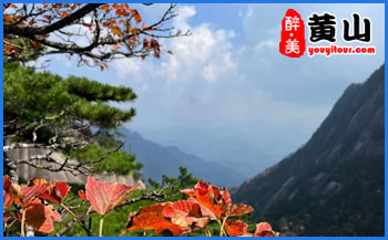 黄山旅游门票价格、运营时间、常见旅游问题攻略分享