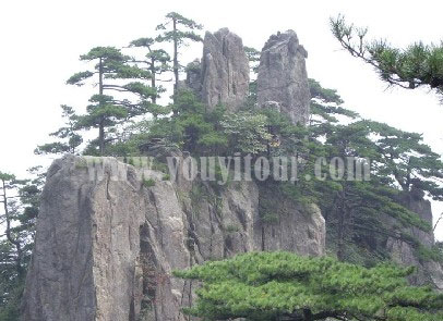黄山旅游景点-白鹅岭