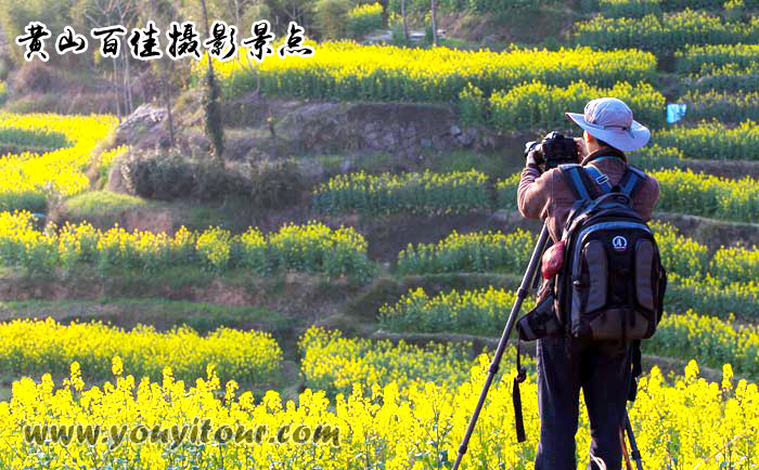 黄山地接旅行社-黄山百佳摄影景点