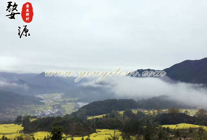 黄山旅游景点-婺源 黄山旅游景点-婺源