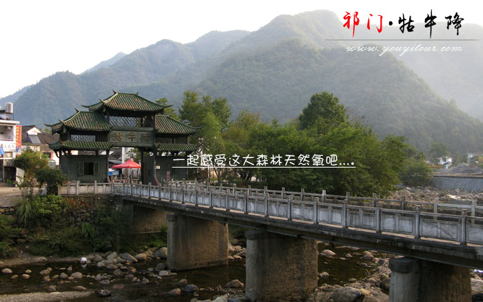 黄山旅行社向您推荐迷人的牯牛降风景区