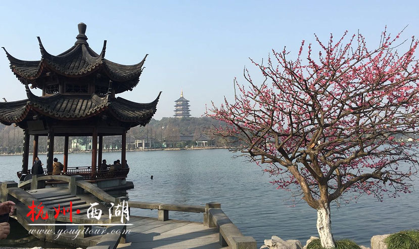 黄山旅游攻略-西湖