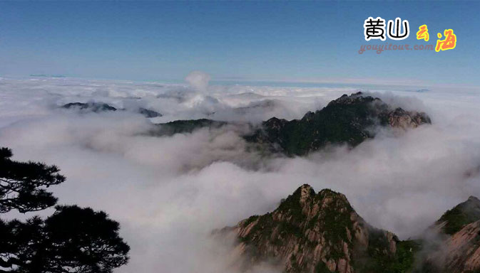 黄山旅游攻略-黄山旅行社