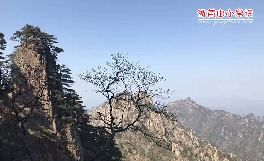 黄山旅游小常识图四
