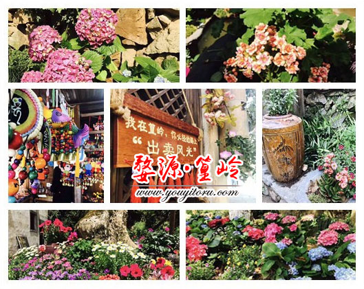 黄山旅游景点-婺源篁岭等您来晒秋