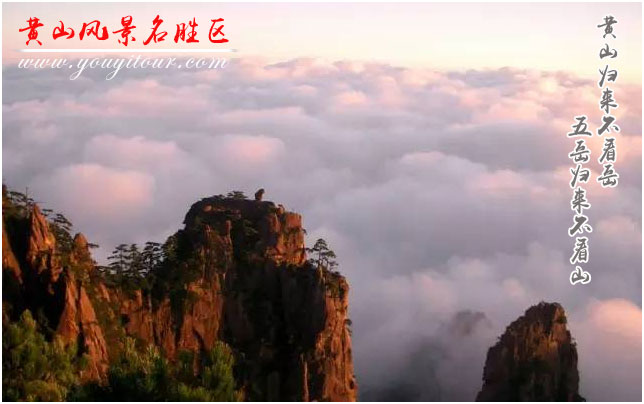 来黄山旅游团跟团游，有机会看到绝色美景黄山云海！
