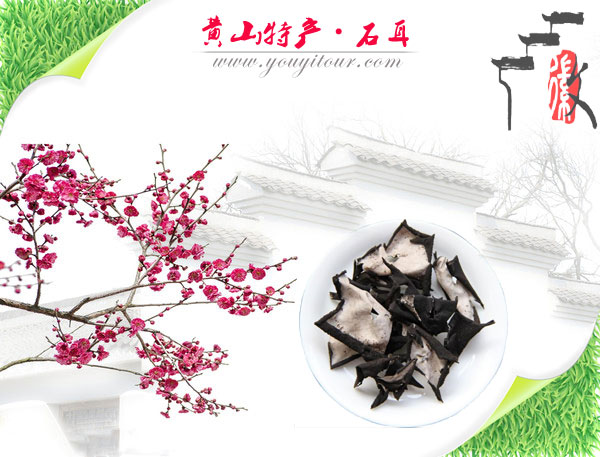 黄山特产-黄山石耳介绍尽在黄山地接旅行社网！