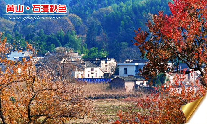 秋天去黄山旅游哪个景点好？