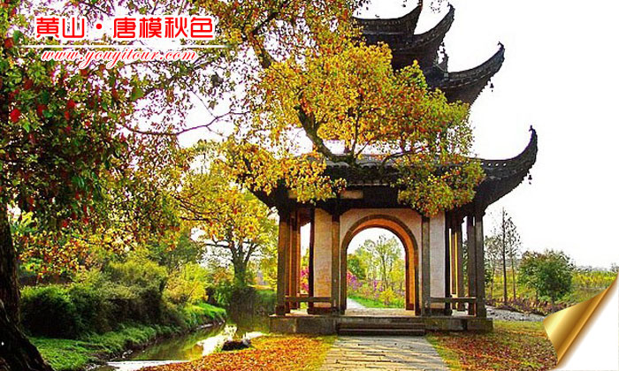秋天去黄山旅游哪个景点好？唐模赏秋不能跑！