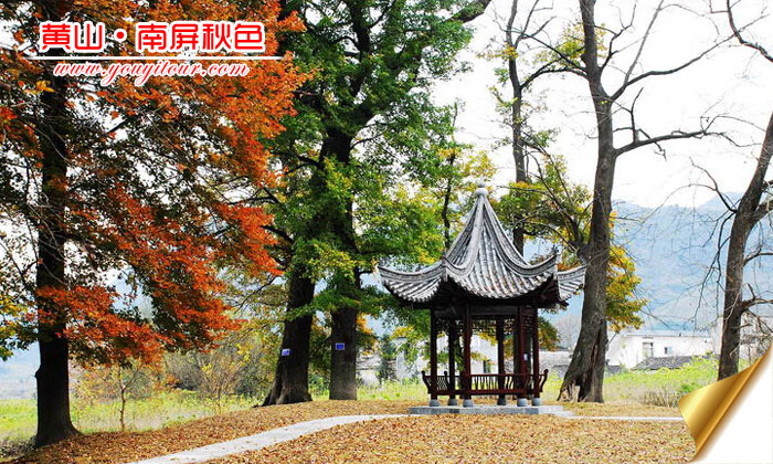 秋天去黄山旅游哪个景点好？南屏古村更妖娆！