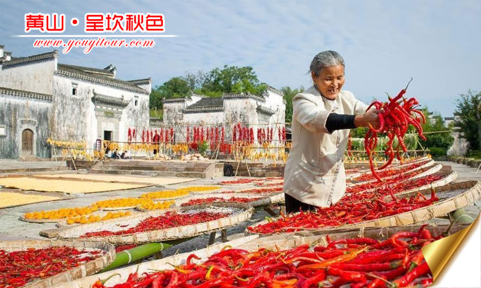 秋天去黄山旅游哪个景点好？八卦呈坎有一套！