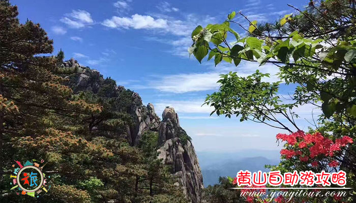 黄山自助游二日游攻略：黄山美景图