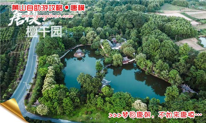 黄山自助游攻略-檀干园