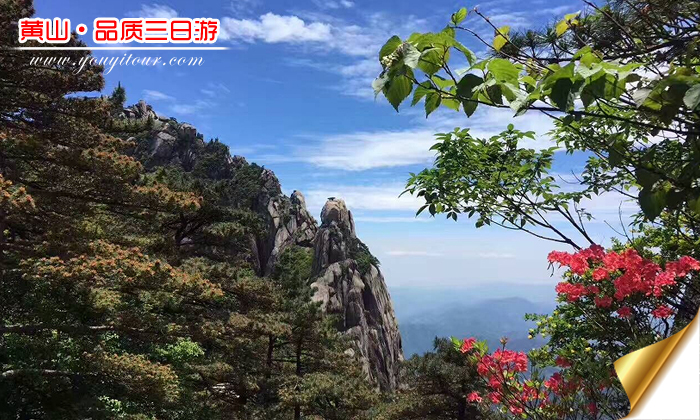 黄山三日游报价-黄山旅游团