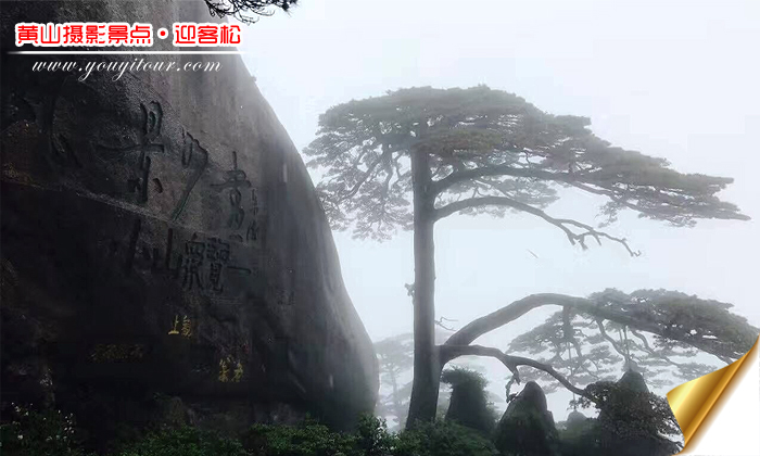 黄山旅游团摄影景点-迎客松图片