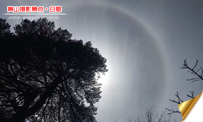 黄山旅游团摄景景点，黄山日晕奇景
