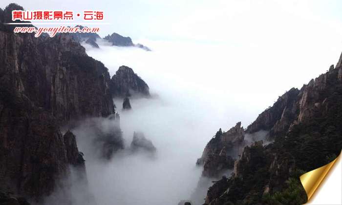 黄山旅游团摄影黄山云海图片4