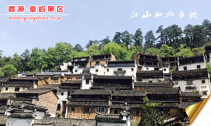 黄山旅游团摄影图片之婺源篁岭图片