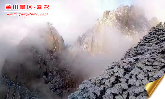 黄山旅游团摄影之最美雾凇图片介绍