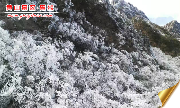 找黄山旅游团最美的摄影图片，推荐冬季来黄山拍雾凇吧！