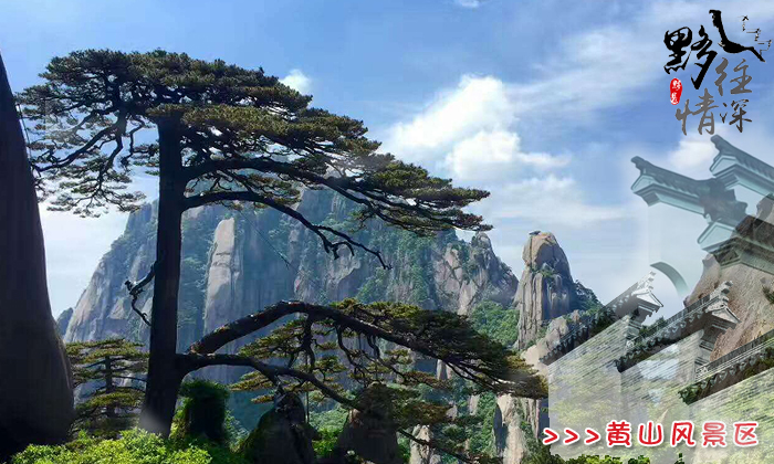 好玩的黄山山岳旅游景点-黄山迎客松