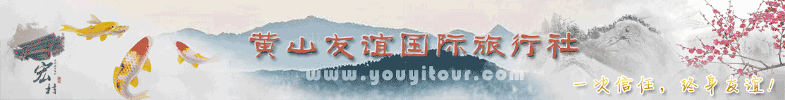 黄山友谊国际旅行社有限公司 