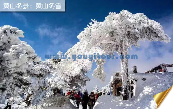 冬天去黄山旅游好吗？看黄山第五绝-黄山冬雪