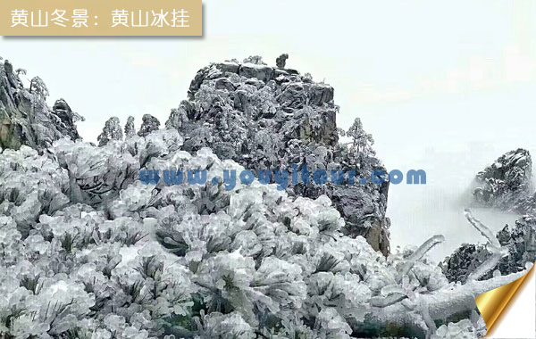 冬天去黄山旅游好吗？看黄山冰挂