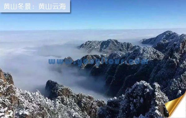 冬天去黄山旅游好吗？看黄山四绝-黄山云海