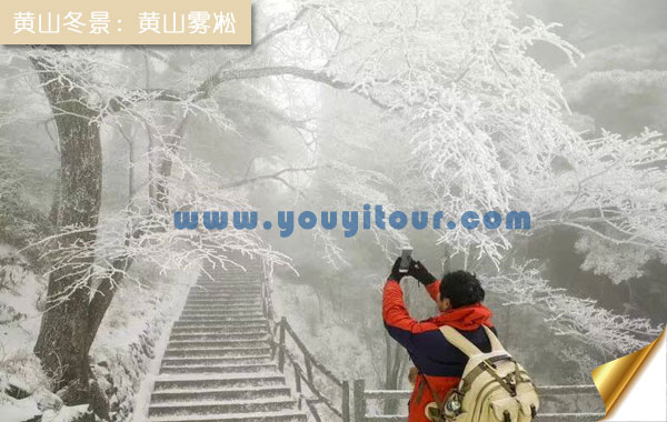 冬天去黄山旅游好吗？看黄山雾凇