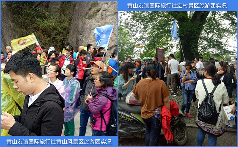 康派医药黄山三日游旅游团实地案例