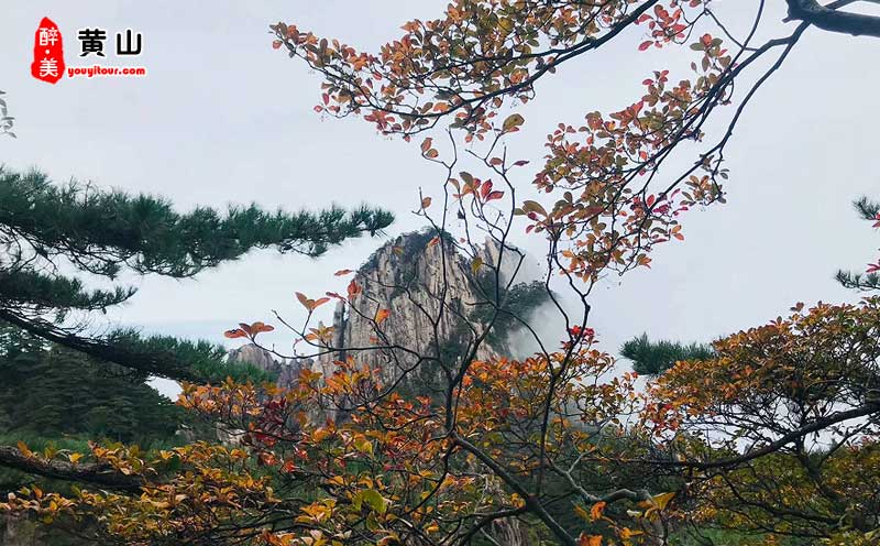 黄山三日游必玩景点：黄山风景区