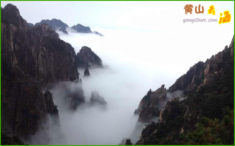 黄山四绝美景-黄山云海！