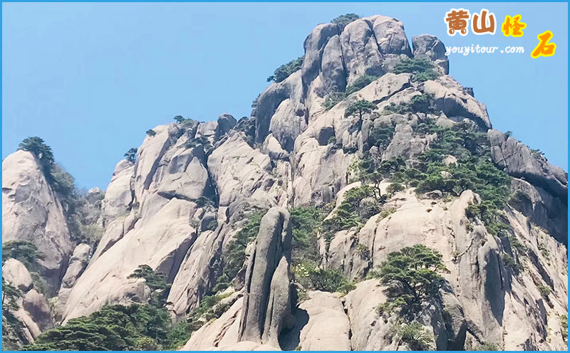 黄山四绝之黄山怪石