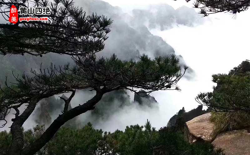 黄山二日游赏黄山四绝！