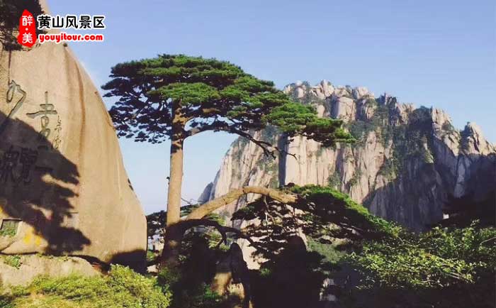 黄山千岛湖三日游景点：黄山风景区图示