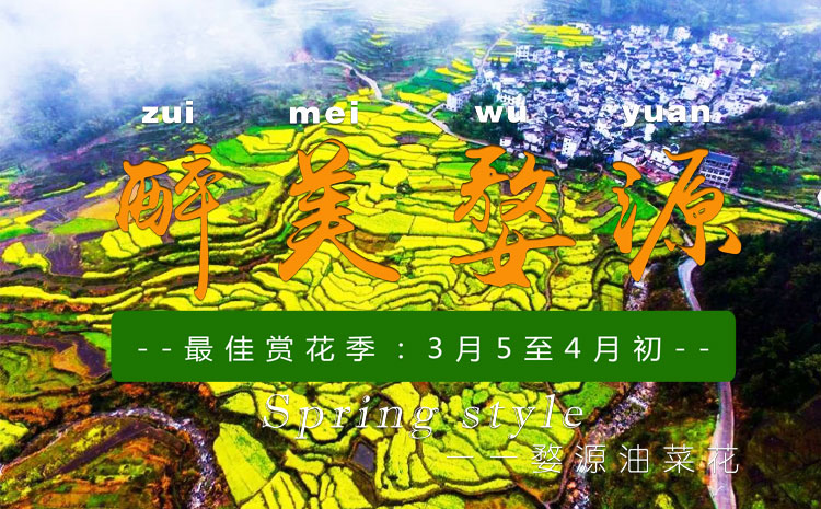 2019年3月-4月到婺源看油菜花就选黄山友谊国旅！