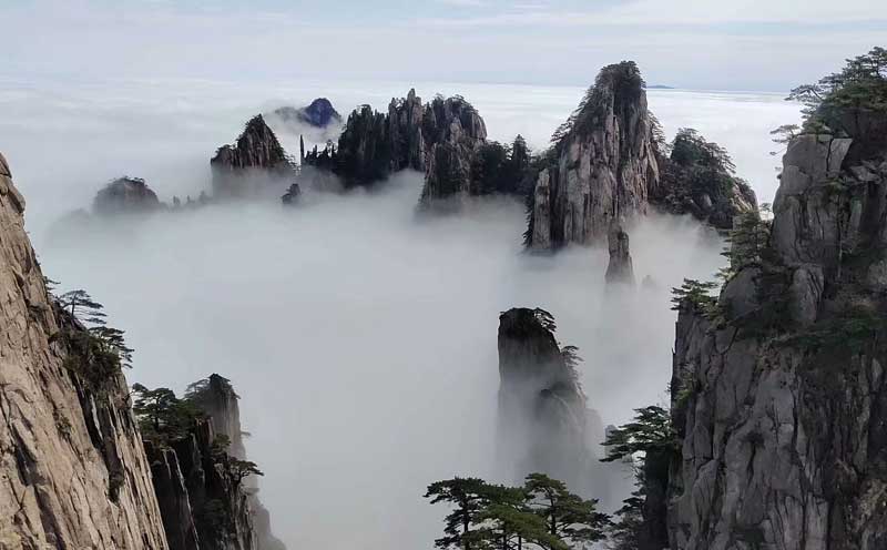 2019年五一黄山云海美图