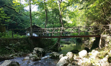 漯河到黄山旅游团景点：翡翠谷