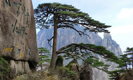 瑞安到黄山旅游团景点：黄山风景区