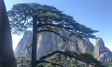 庐山到黄山旅游团四日游景点：黄山