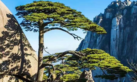 九江到黄山三日游景点：黄山