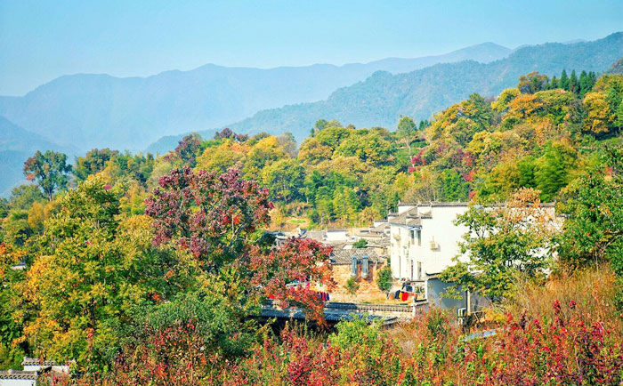 宏村、塔川一日游景点:塔川 图示