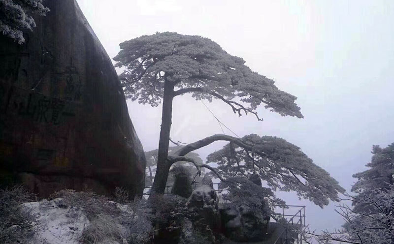 黄山冬季迎客松美景