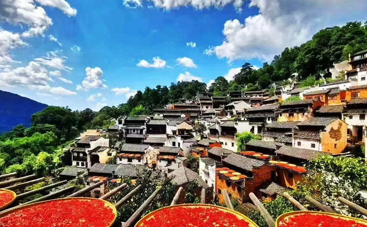 在黄山北座公交到黄山：晒秋 美景图