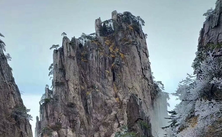 黄山冬季冰挂美景 图