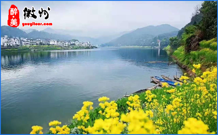新安江山水画廊油菜花摄影图 图一